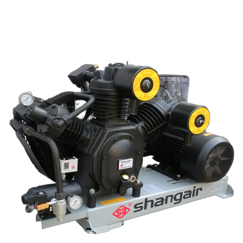 Hot Selling High-Pressure Industrial Piston Air Compressor 30Bar for PET Bottle Blowing Machine, Oil-free Shang Air