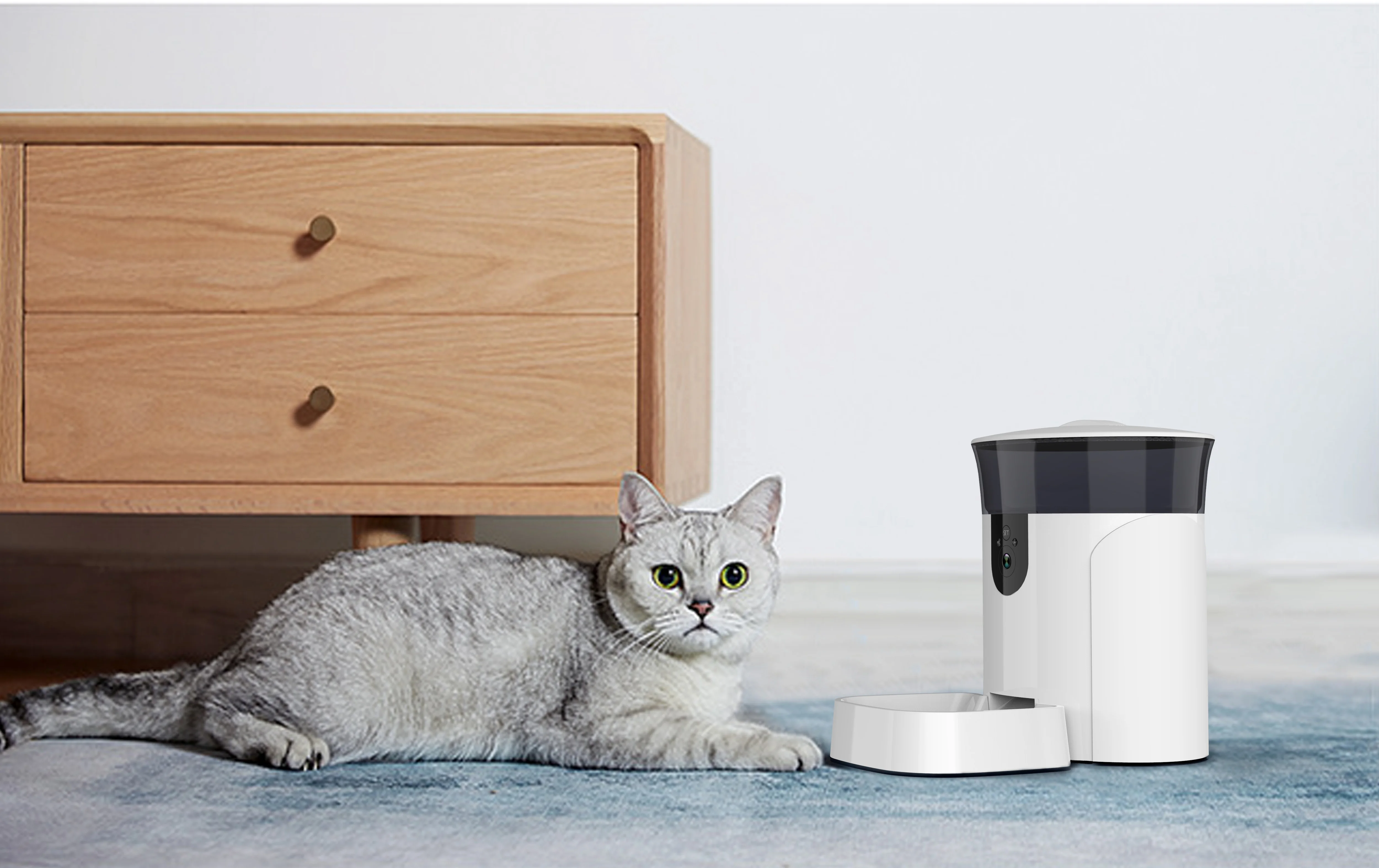 TUYA White Timing Feeding Support Smart Automatic WiFi  Auto Timer Pet Feeder