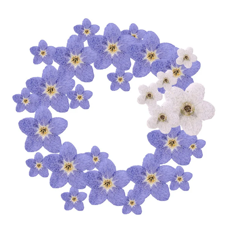 hot sale resin nails art diy mix natural real dried pressed flower forget-me-not