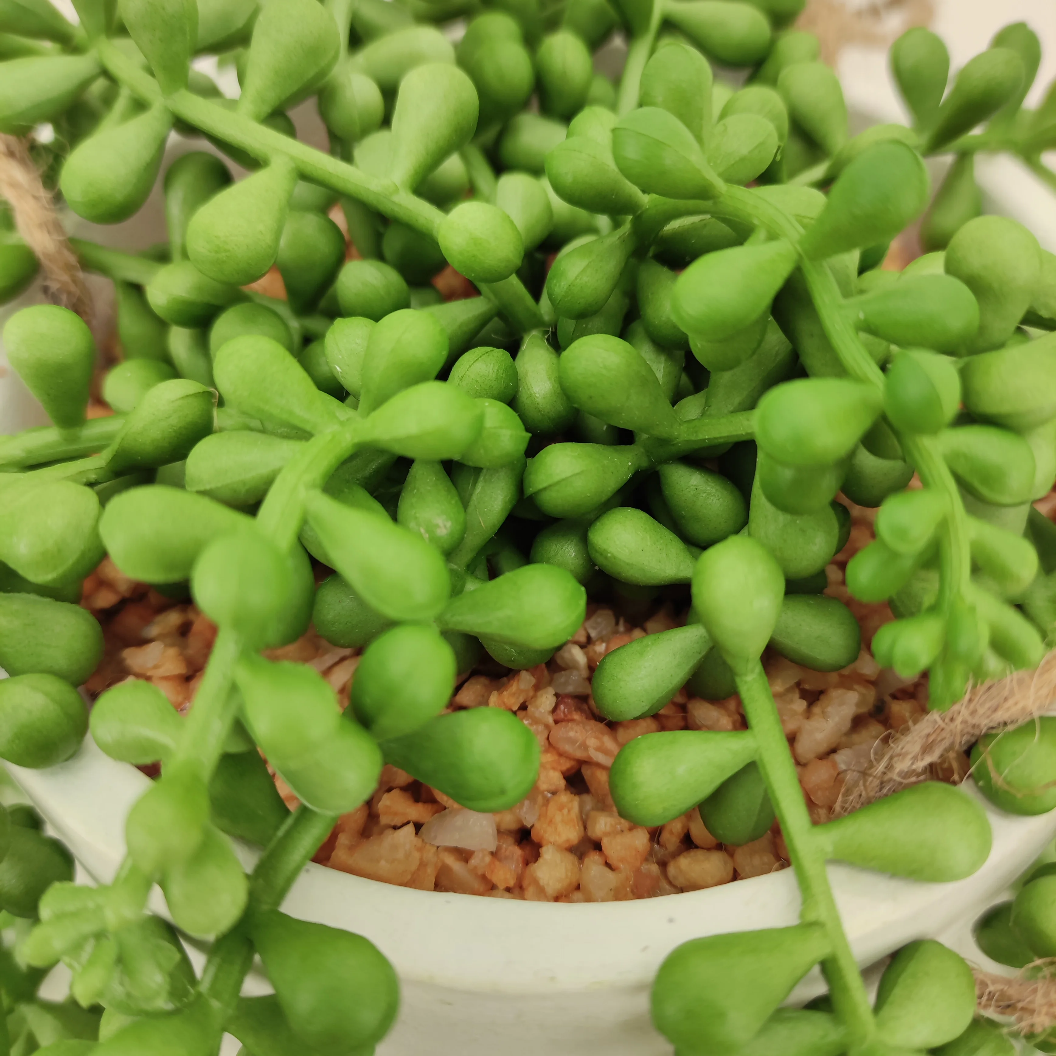 Home Indoor Decor Faux Green Planter  White Ceramic Potted Artificial Hanging Succulent String Of  Pearls Plants