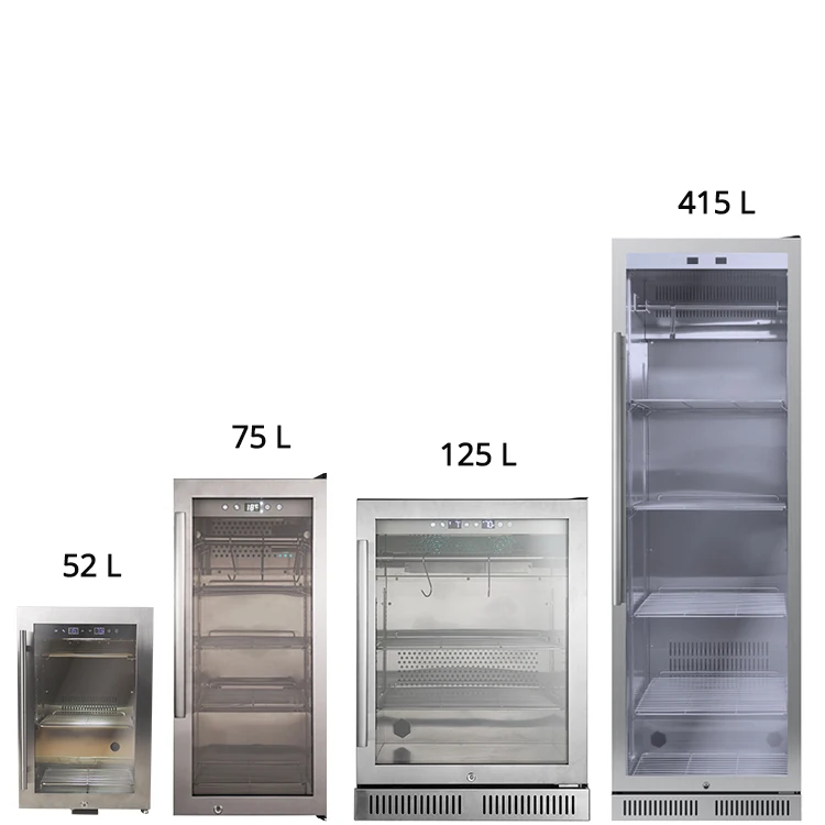 Wholesale Mini Dry Aged Machine Meat Salami Ham Fish Beef Ager Refrigerator Refrigeration Equipment