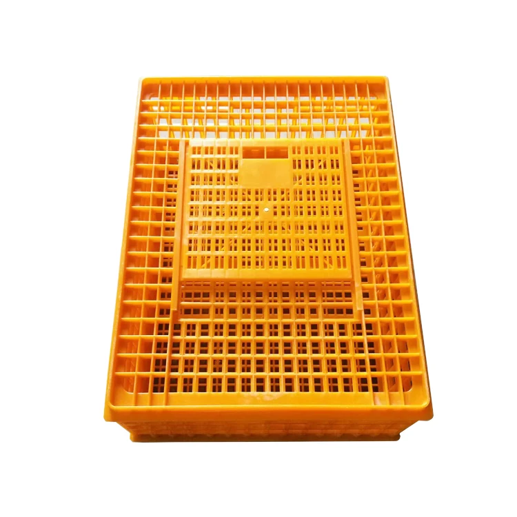 Live Chicken to Transport Cages for Sale Transport Basket New Product 2023 Provided Bearing Chicken Crates Professional Plastic