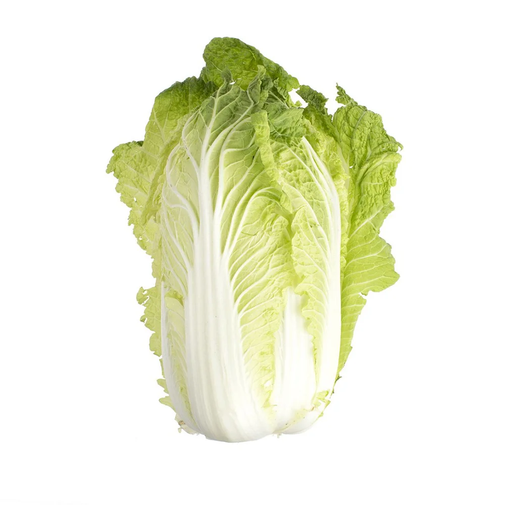 
100% Fresh Green Cabbage (Mekong Herbals)  (50041800529)