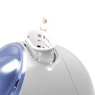 Facial Steamer for Face Professional