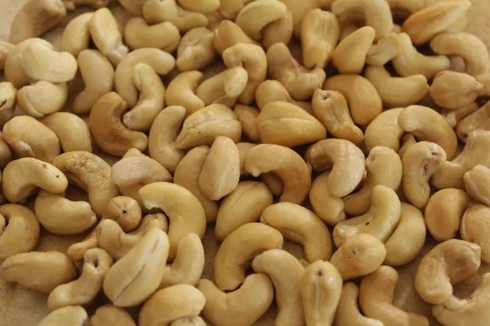 Benin White Cashew Kernels Fresh Cashew Nuts Kernels With Nice Price W180 W240 W320 W450