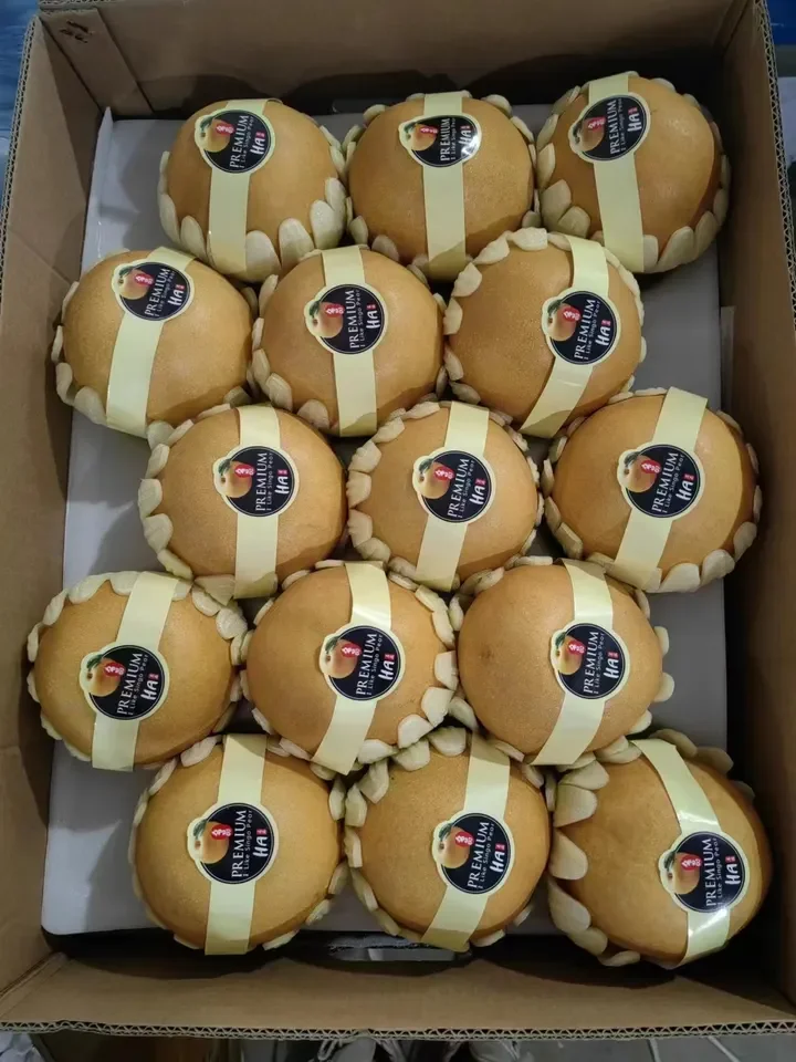 Новый сезон, зеленая Шаньдун, фруктовая груша, Золотая груша, фэншуй для детей