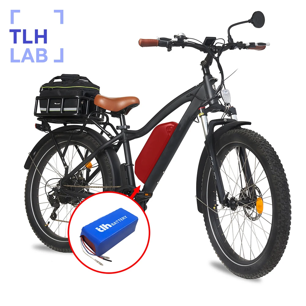 OEM 60 Volt 50Ah Citycoco 60V 48V 36V 24V 40Ah 30Ah 20Ah 12Ah 5Ah Lithium Battery for Electric Scooter