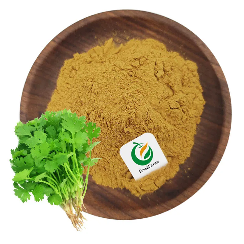 Coriander Extract / Coriandrum Sativum Extract / Cilantro Extract powder
