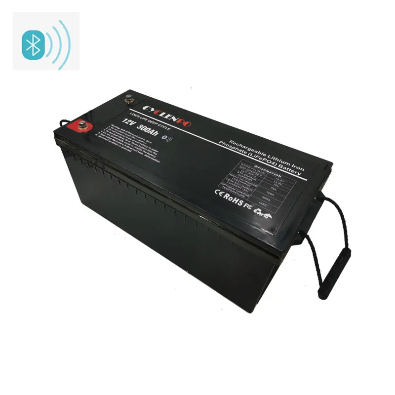 High quality with bms lifepo4 battery BT 12v 300ah hour for camping car motorhome
