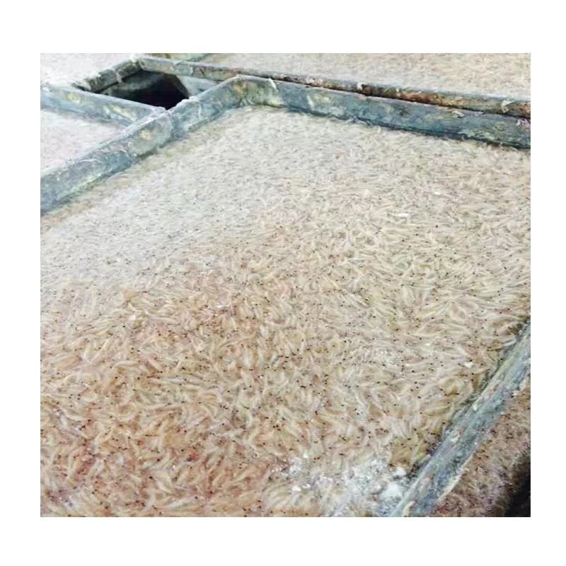 Замороженные маленькие белые креветки