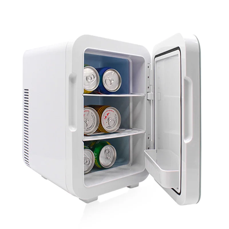 10L Home Use Electric Skincare Fridge For Cosmetic Portable Ac 100V-220V Dc 12V Mini Cosmetic Refrigerator With Mirror LED Light