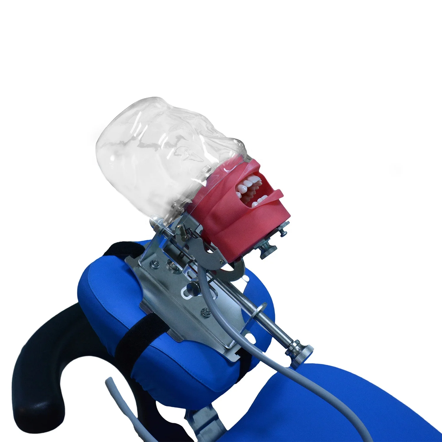 Advanced Dental Phantom Training Simulators Head Phantom Medical Science Teaching Teeth Preparation Model