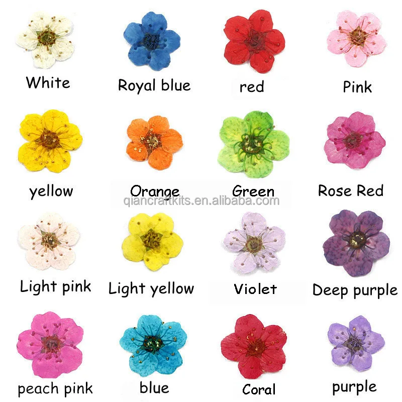 flower (15).jpg