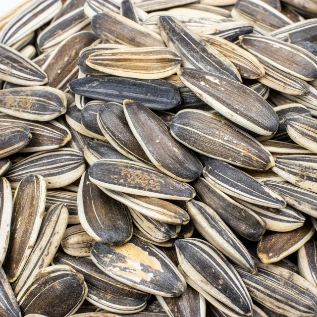 
sunflower seeds China origin organic sunflower seeds for oil or food 