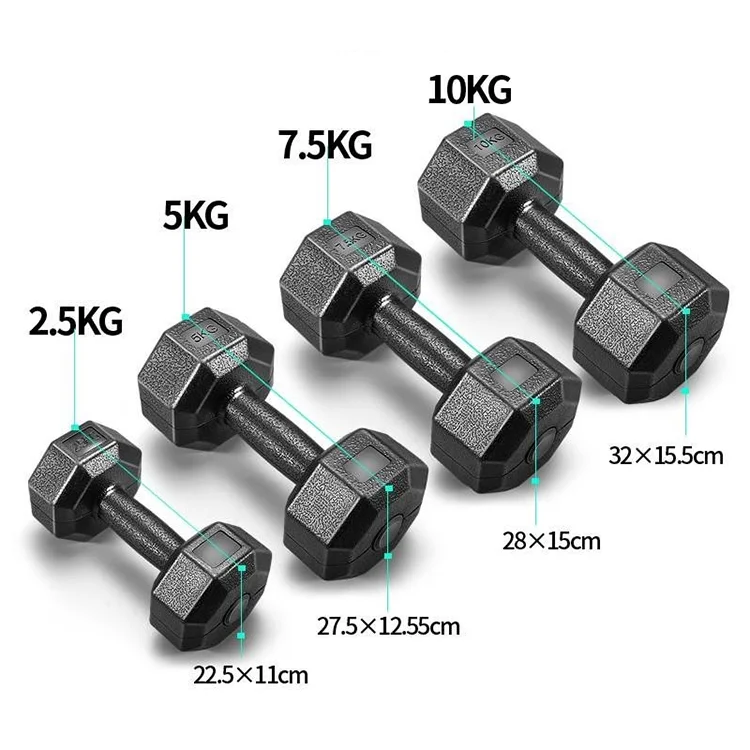 Fitness Equipment Strength 2kg 5kg 10kg Eco-friendly Round Plastic Rubber Hex Cement Dumbbell Training Dumbbel