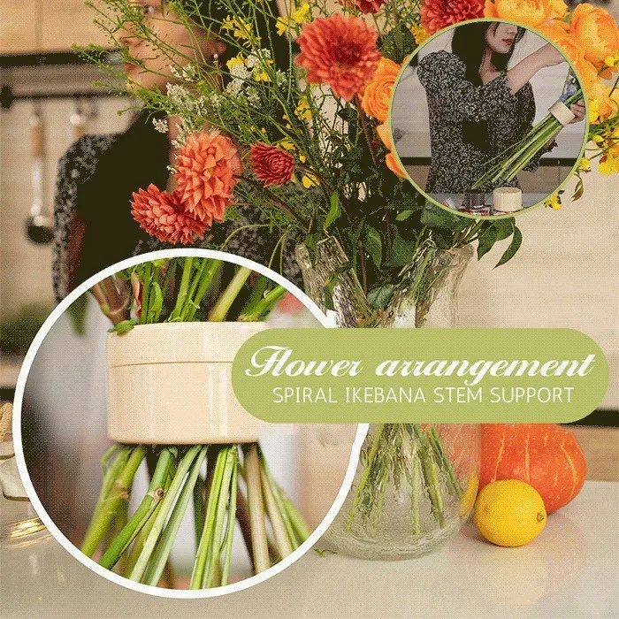 Plastic Transparent Flower Arranger Spiral Ikebana Stem Hold Spiral Flower Arranger Houseware