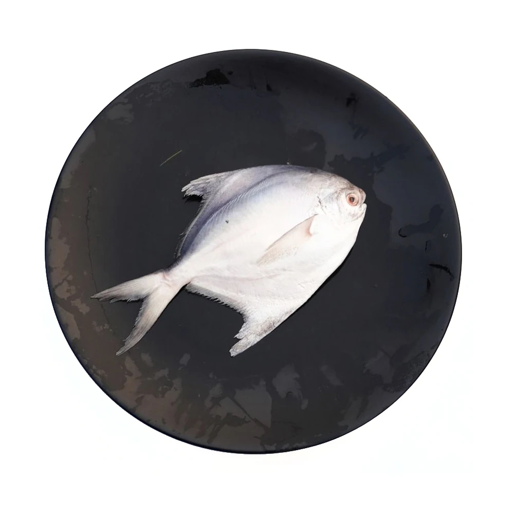Frozen white pomfret fish frozen silver pomfret fish frozen silver pomfret exports