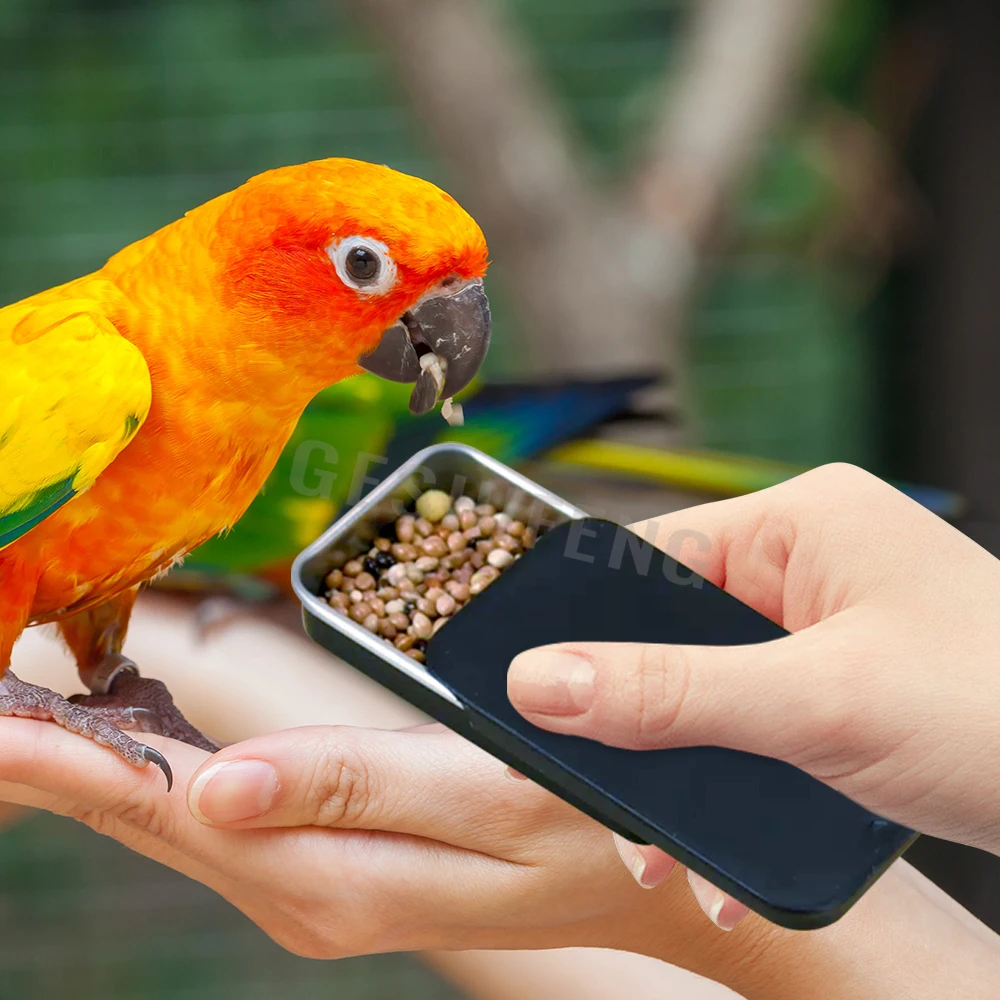 Metal Portable Pet Bird Feeder Outdoor Training Feeder For Parrots Finches Budgies Hand Held Bird Dispenser Seed