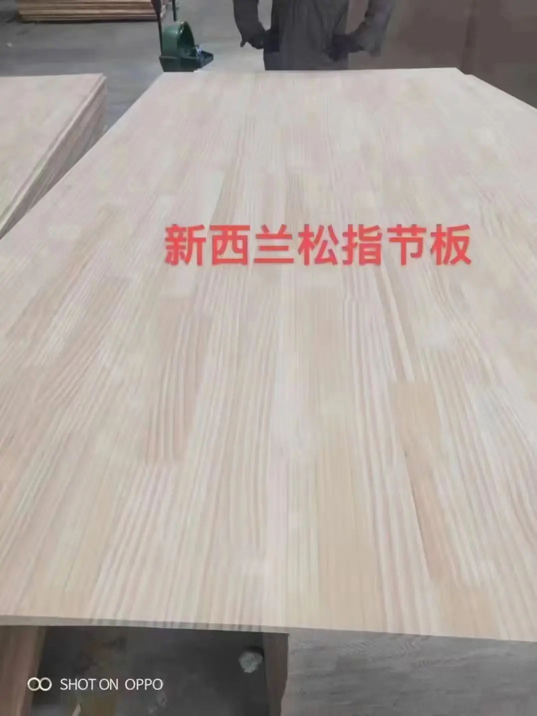 Sawn Timber Panel Solid Wood Panel New Zealand Pine Finger Jointed Board price