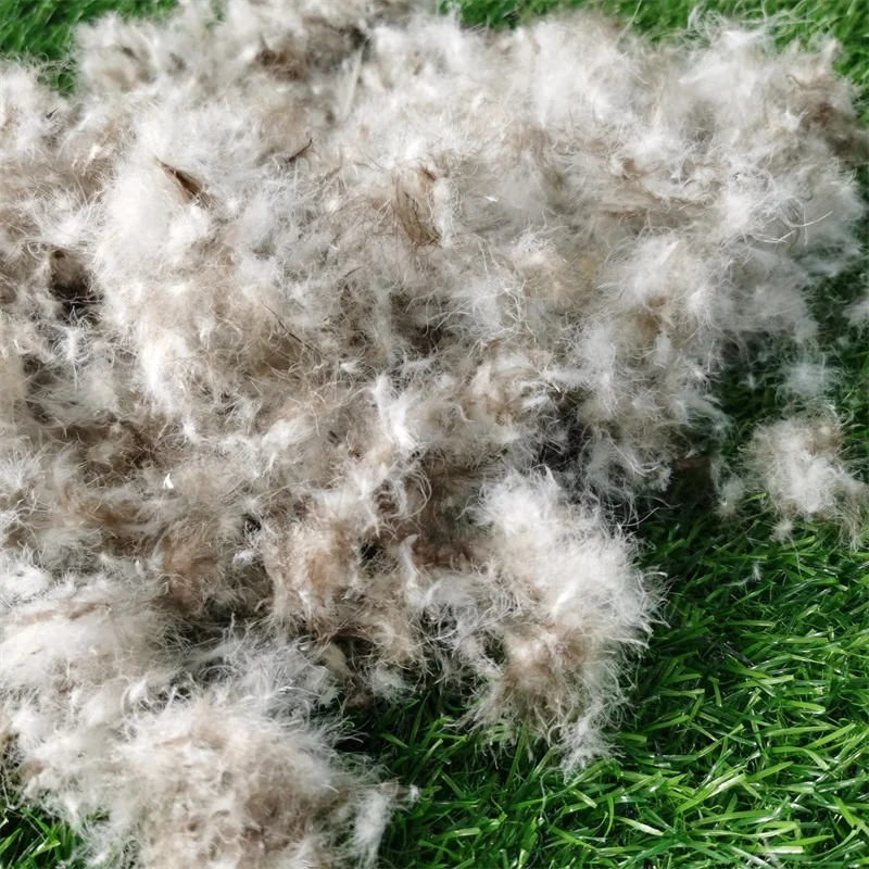 Hot Sale Machine Washable Soft Wholesale Duvet Filling Raw Natural Material 95% Grey Duck Feather Down