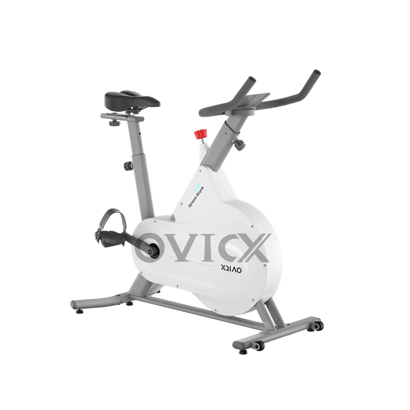 OVICX Q101 magnetic spin bike cycle exercise machine home exercise equipment