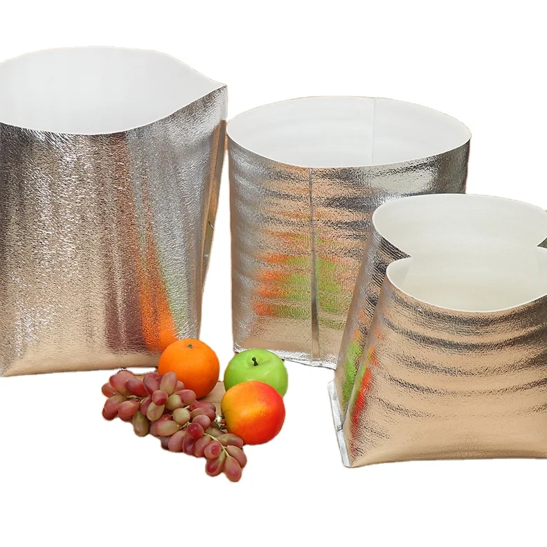 Fondofold Custom Logo Food Wholesale Aluminum Foil Insulated Disposable Cooler Bag Fish Cooler Bag