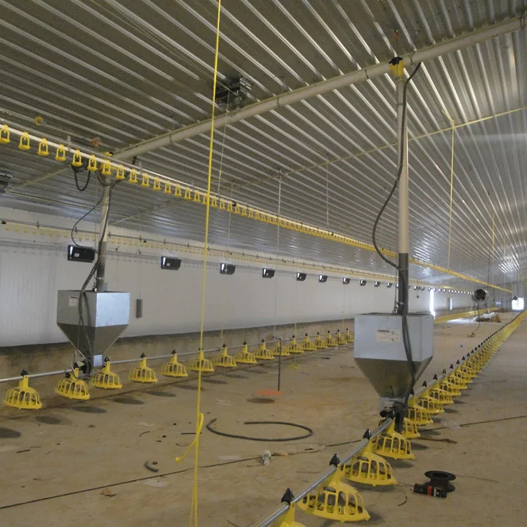 2022 new desgin free range steel structure chicken house Shed Poultry Farm