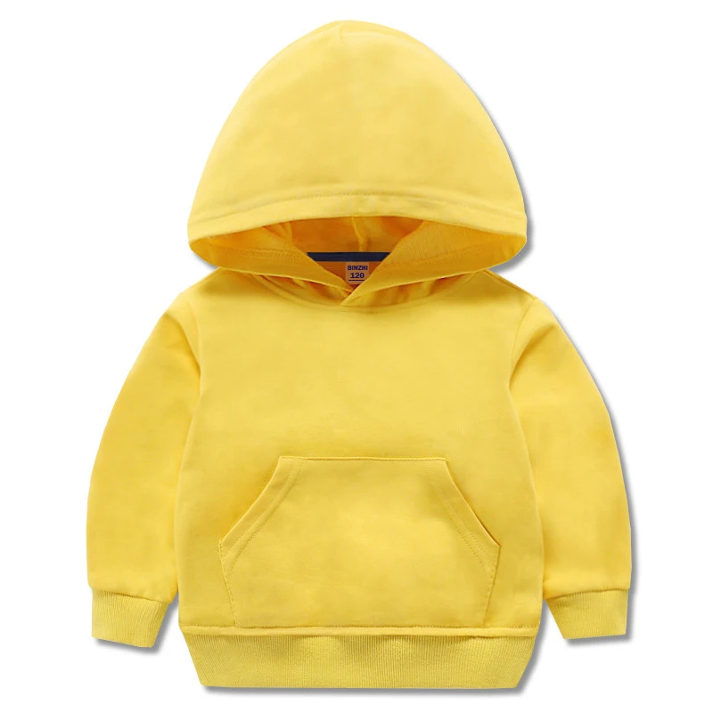 Factory Wholesale Custom Children Cotton Hoodies Unisex 3D Pattern lined Hooded French Terry Kids Boys Puff Printing Blank