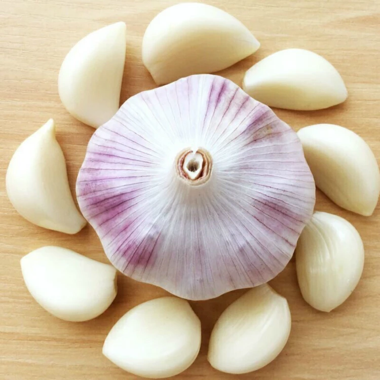 Grade Fresh garlic/Normal White Garlic/Pure White Garlic for sale