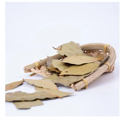 Spot wholesale preferably large special green bay leaf to enhance the flavor and aroma of stew spices