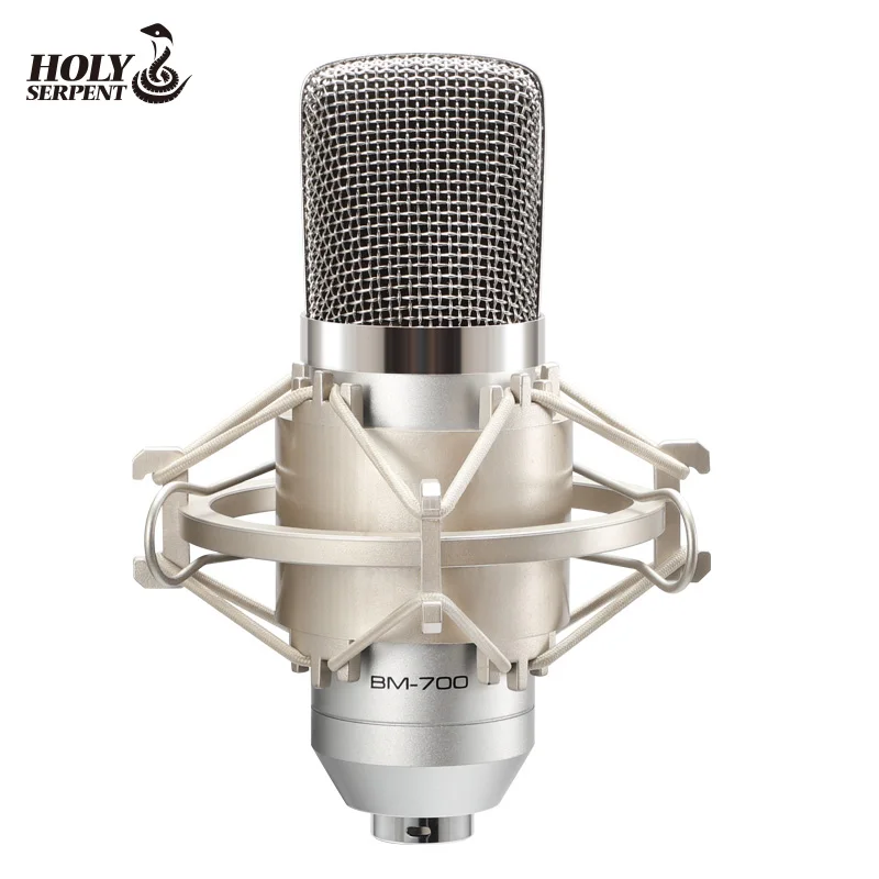 
Good Price BM700 Professional Condenser Microphone Wired Voice Recorder Metal Mic 