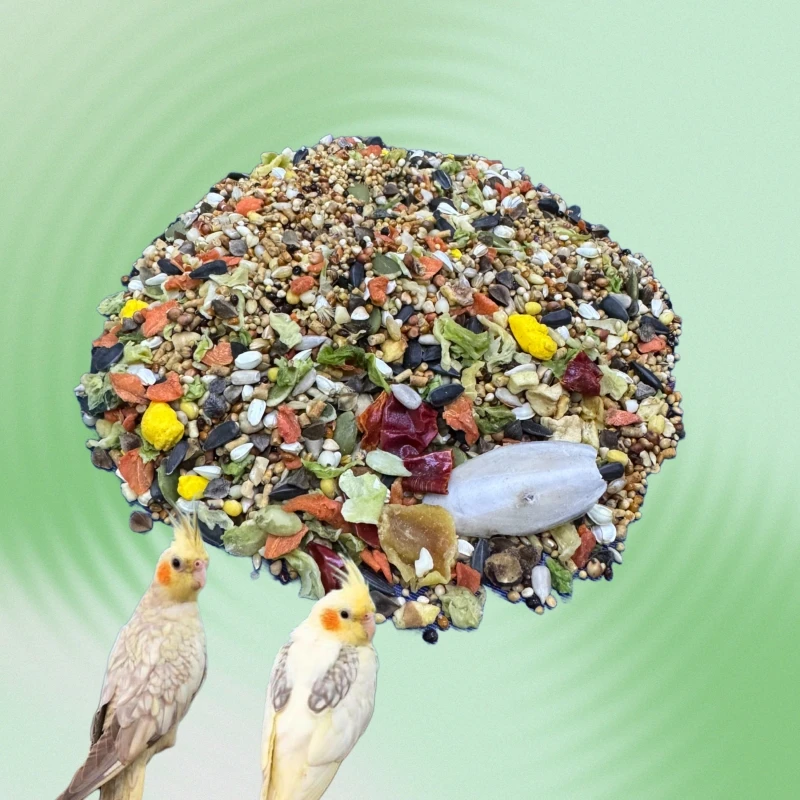 Cockatiel Parrot Special Food Feeds Mixed Fruits Vegetables Snacks Special Calcium Supplementing and Fertilizing Nutrient Grain