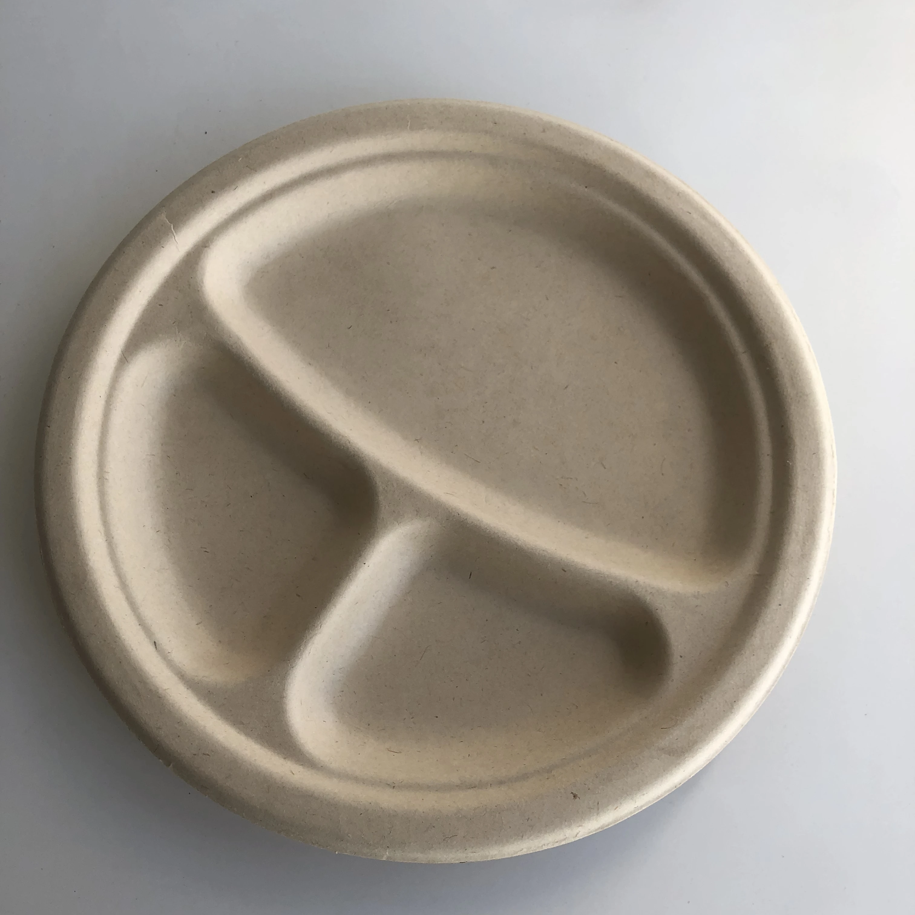 Biodegradable Compostable Eco Friendly Disposable Bagasse Pulp Takeaway  Paper Custom To Go Plates