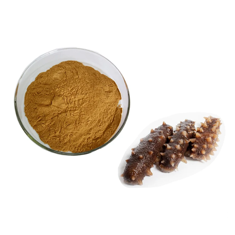 
100% natural Sea Cucumber Extract Powder price 