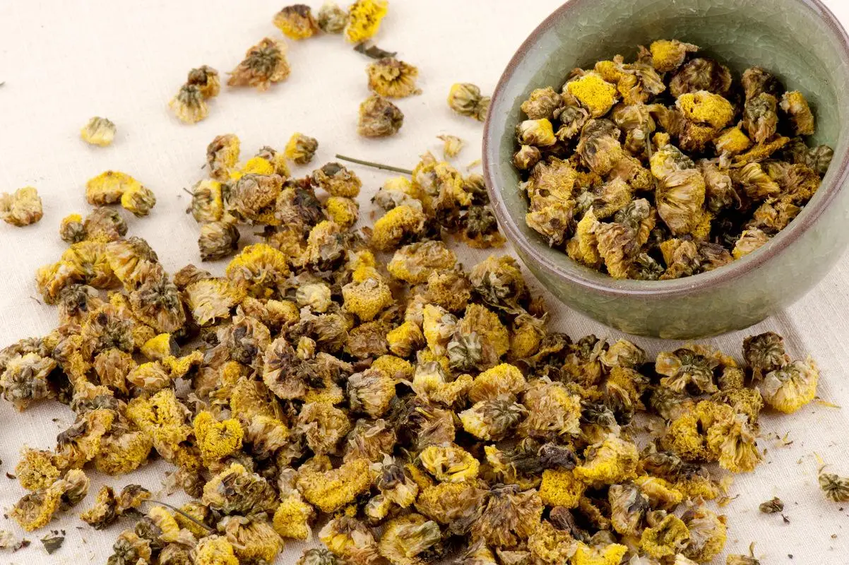 new condition CE certification tunnel industrial microwave