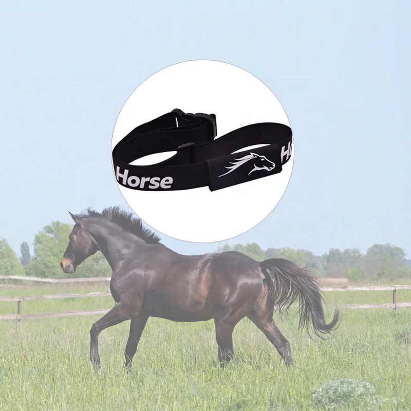 VayLong customized  BLE ANT+ GPS horse racing training rechargeable water proof wearable chest strap horse heart rate monitor