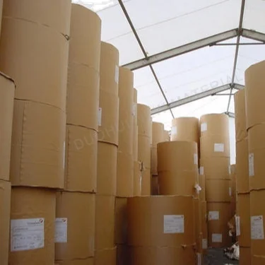 Self-produced and self-sold kraft paper pure wood pulp