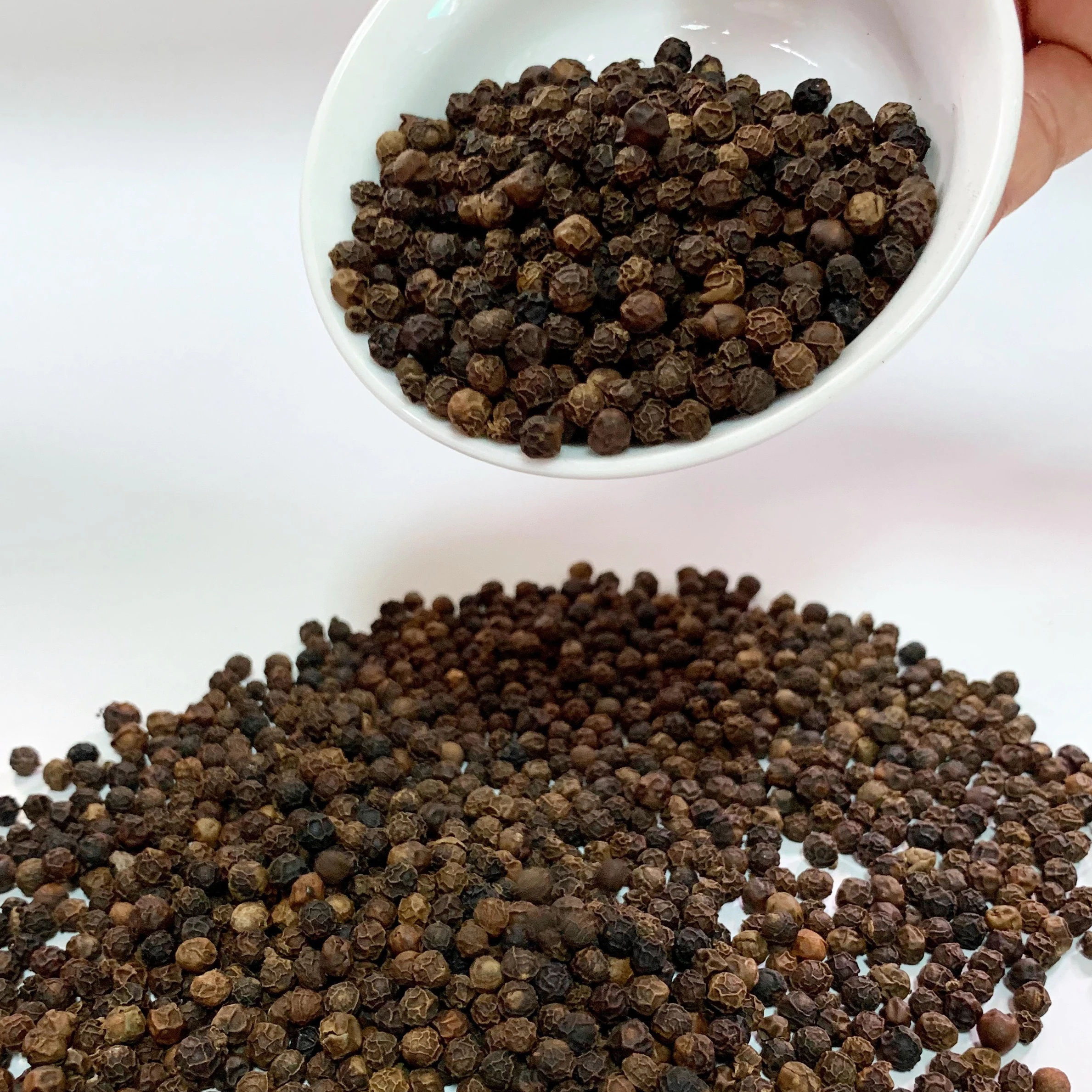 VIETNAM EXPORTER OF BLACK PEPPER 570GR/L ASTA CLEANED FOR SALE HIGH QUALITY PACKING IN PP BAG, PAPER BAG JUTE BAG, TRANSLINER...