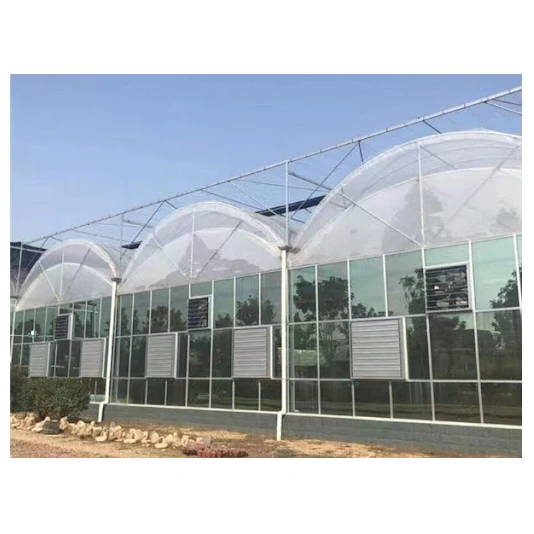 Multi-span film greenhouse supply textured smart greenhouse engineering agricultural with hydroponic