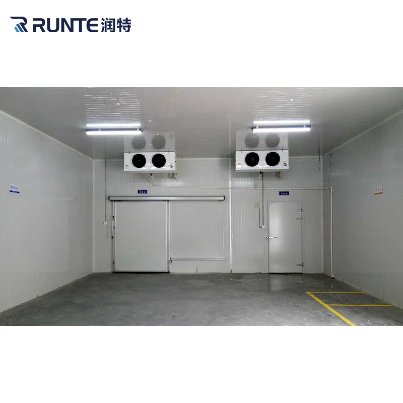 Pu Panel Fruit Chicken Meat Eggs Seafood Restaurant Supermarket Cold Room Manufacturer