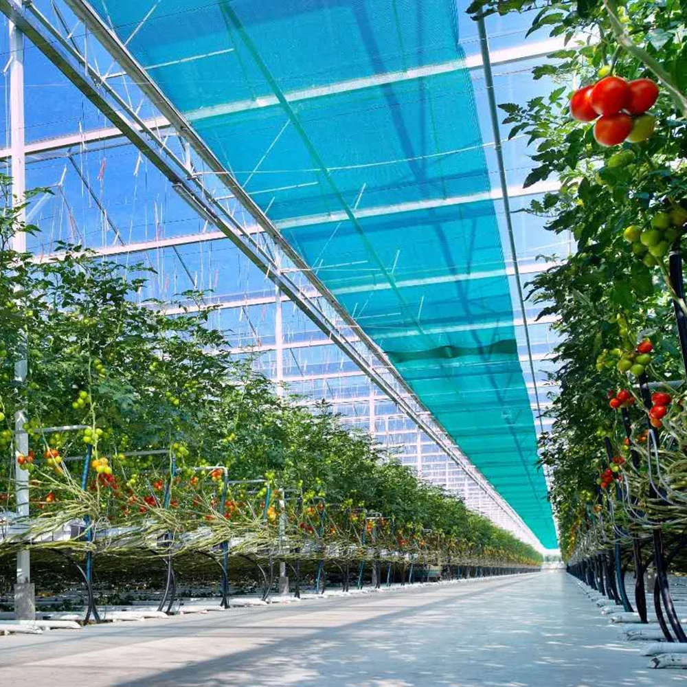 Теплица для сельского хозяйства с гидропонной системой Holland Big Span Venlo