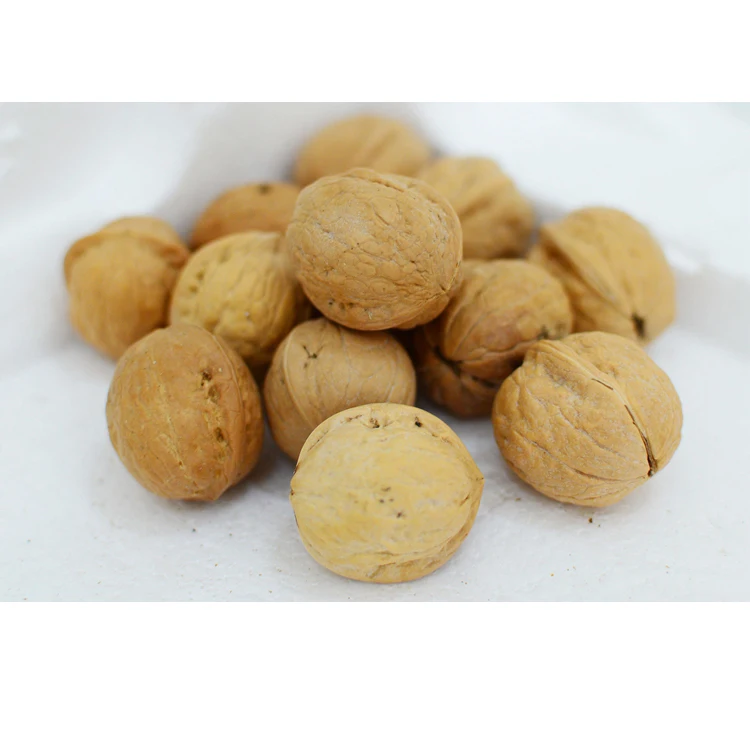 
Top Quality 100% Natural Thin Skin Cheap Walnut Organic Walnuts in Shell 