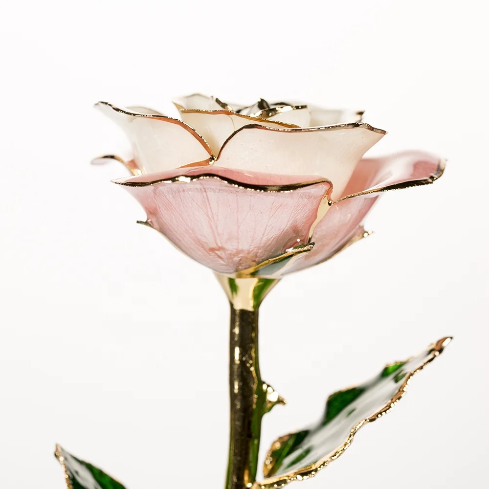 2020 Upgraded 24K Gold Dipped and Trimmed Real Preserved Fresh Eternal Rose Flower wholesale preserved roses factory