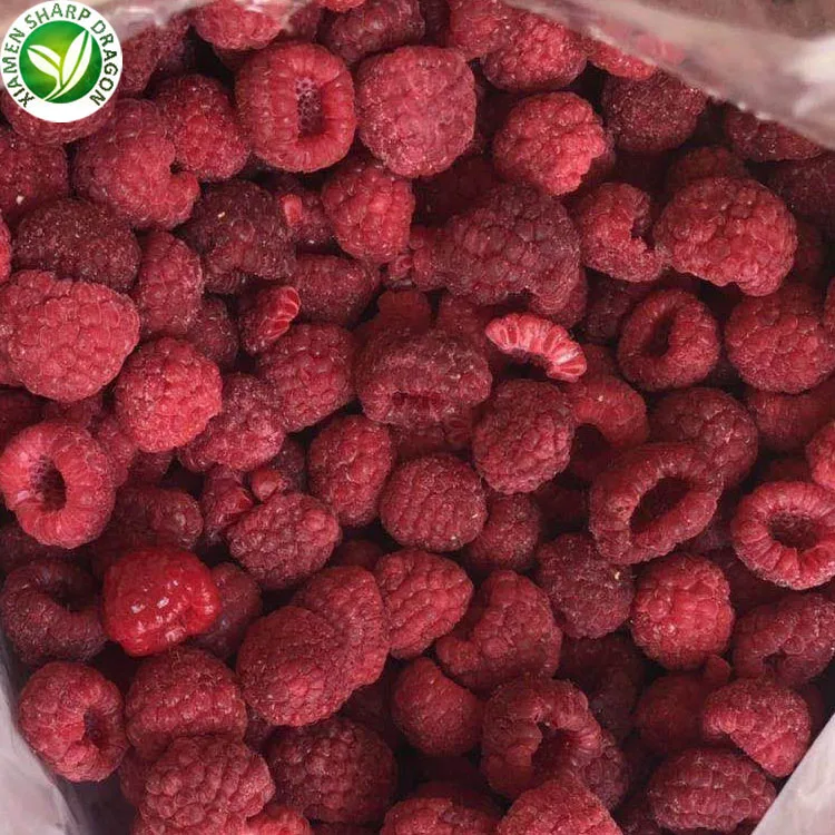 IQF Bulk price red  fruit frozen raspberries in syrup