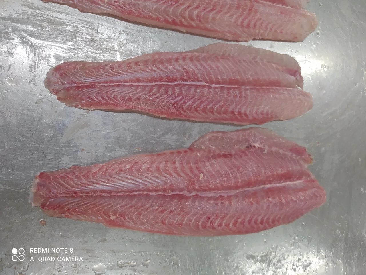 Best Seafood Pangasius/ Basa fish fillet, Untreated VietNam Product