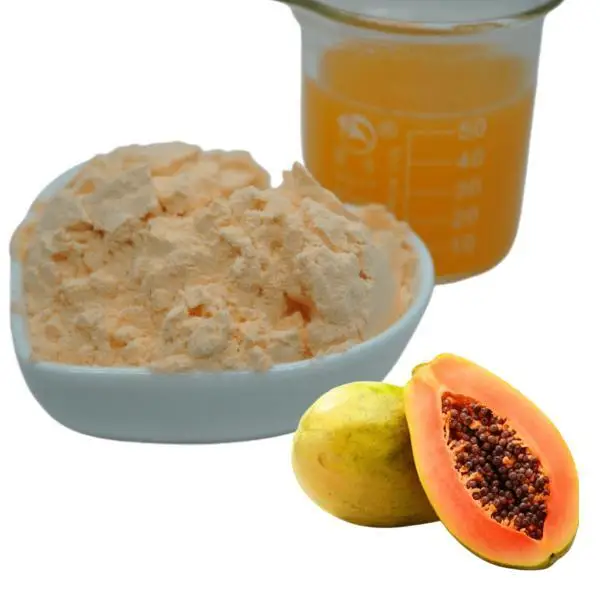 Papain Enzyme Papain Enzyme For Sale Papaya Extract Papain Enzyme Powder