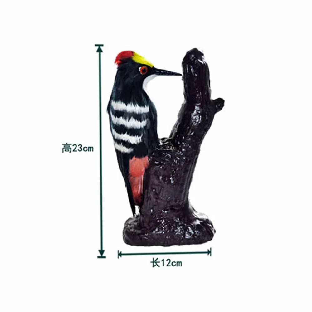 Animal Simulation Model Educational Equipment Woodpecker Model Specimen