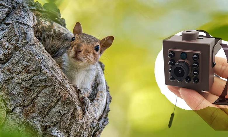 New Arrival CMOS 1080P 5MP IP Network P2P Cctv SD Card IR CUT Infrared Mini IR Wifi Wireless Camera With Double Bracket Camhi