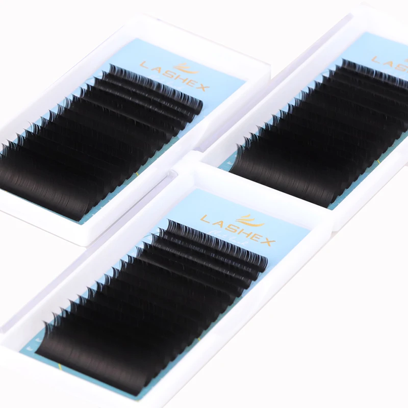 Wholesale Private Label jet black ellipse flat lash extension with custom logo trays classic eyelash extensions