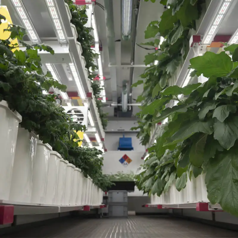 container solution indoor climate control farming solution